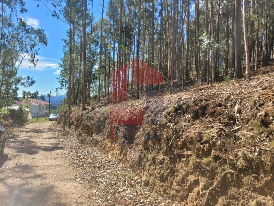 Helårsgrund i Vila Verde, Braga - foto 1