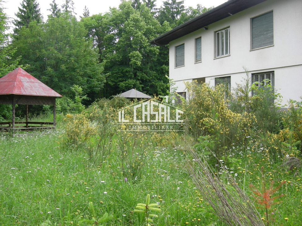 Villa i Pelago, Florence - foto 3