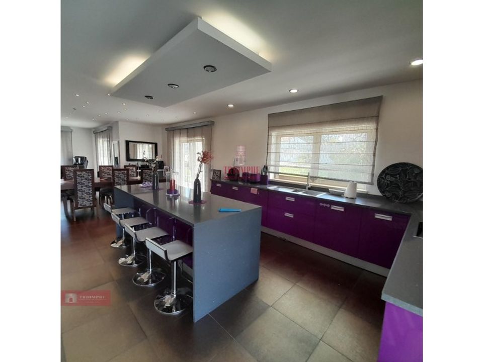 Villa i Casal dos Claros, Leiria - foto 5