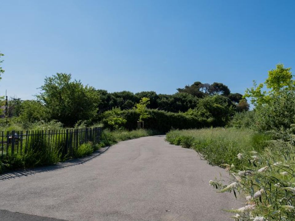 Helårsgrund i Beziers, Herault - foto 1