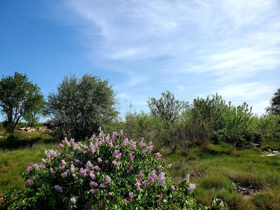 Helårsgrund i Beziers, Herault - foto 3