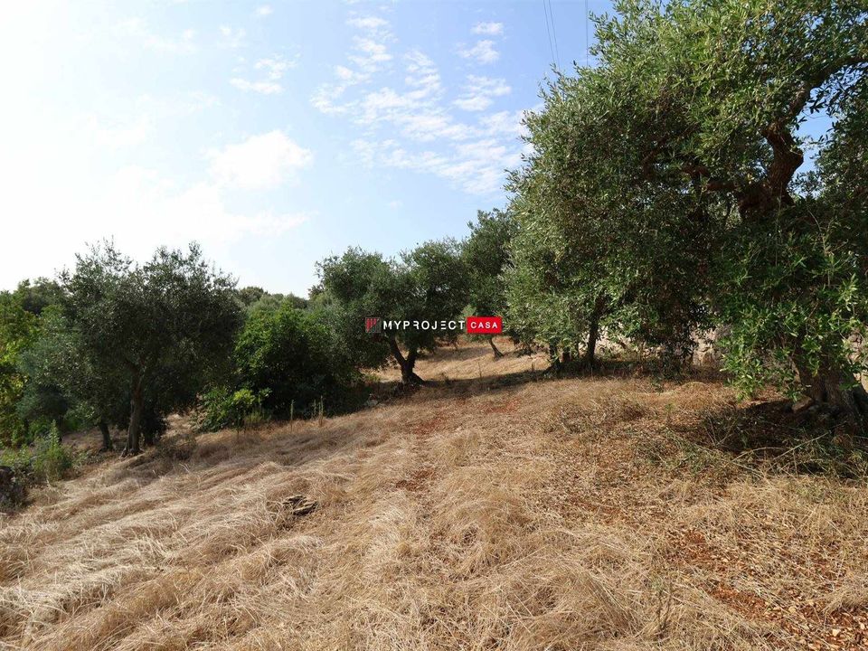 Helårsgrund i Cisternino, Brindisi - foto 3