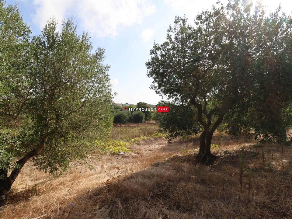 Helårsgrund i Cisternino, Brindisi - foto 5