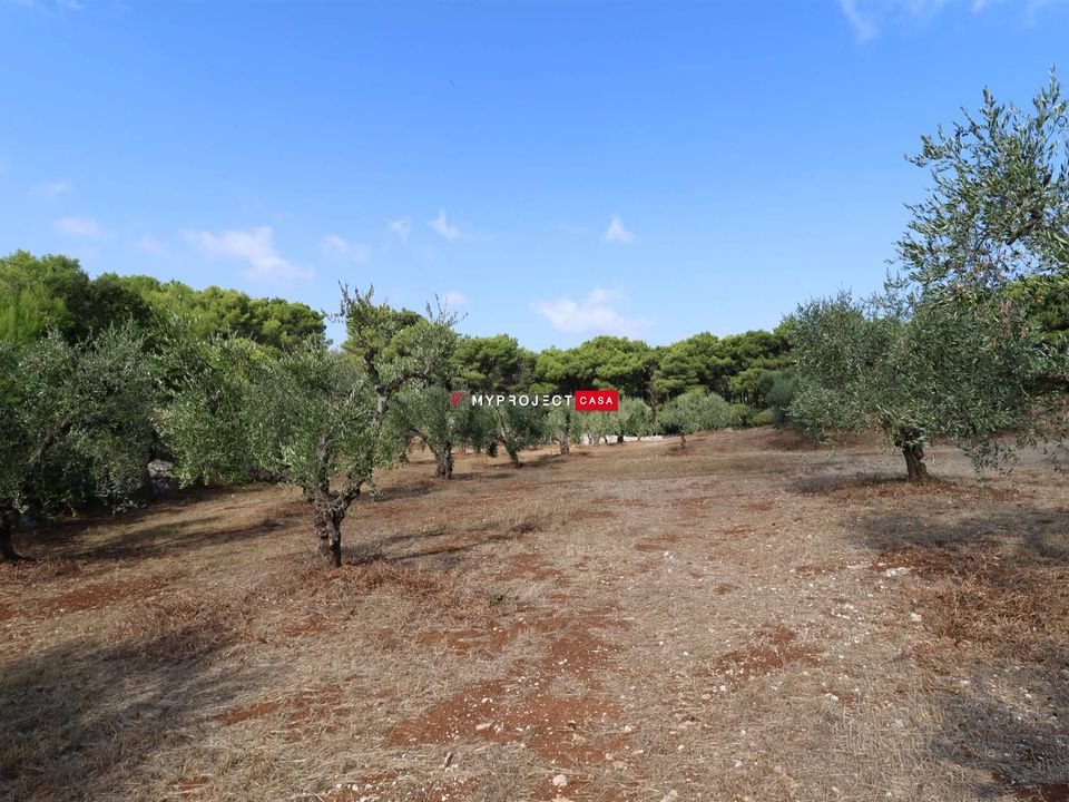 Landsbyhus i Cisternino, Brindisi - foto 5