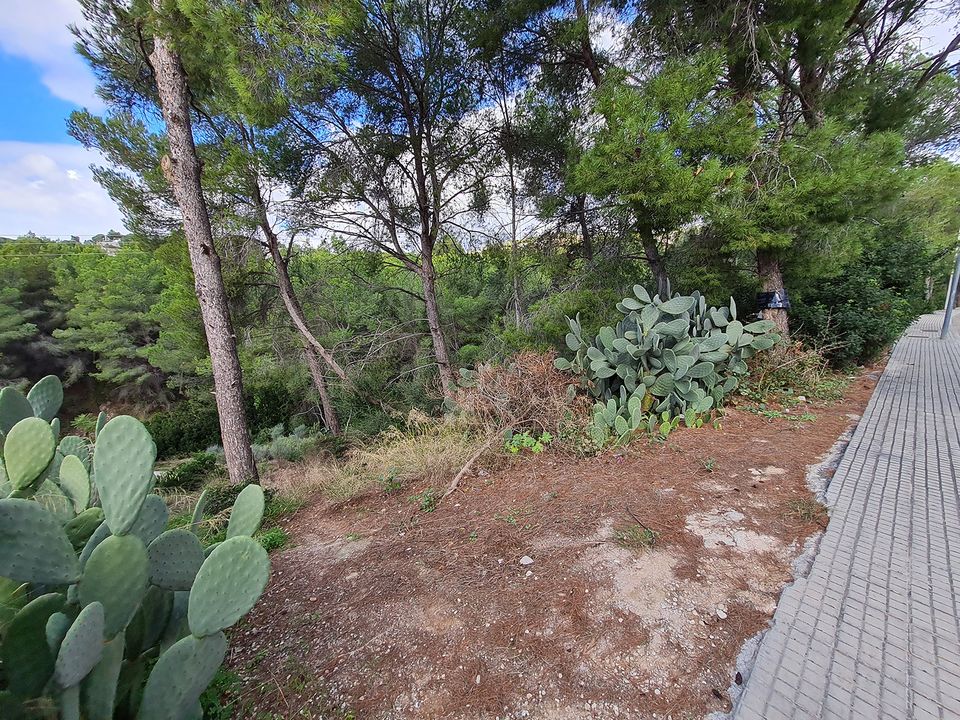 Helårsgrund i Portals Nous, Mallorca - foto 1