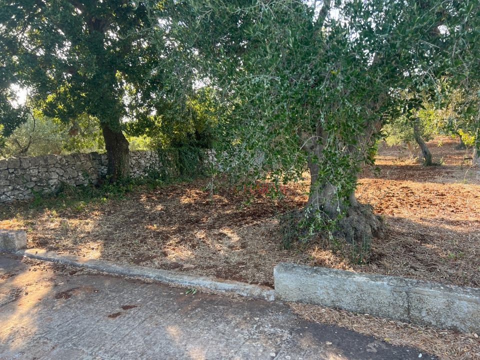 Landejendom i Cisternino, Brindisi - foto 5
