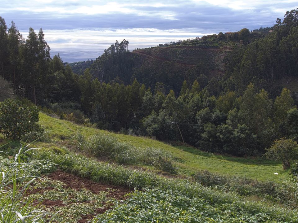 Helårsgrund i Santa Cruz, Madeira - foto 2