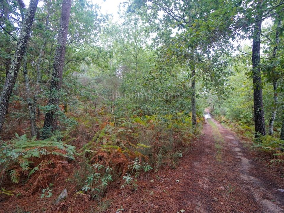 Helårsgrund i Moncao, Viana do Castelo - foto 2
