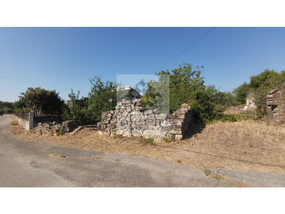 Helårsgrund i Ferreira do Zezere, Santarem - foto 3