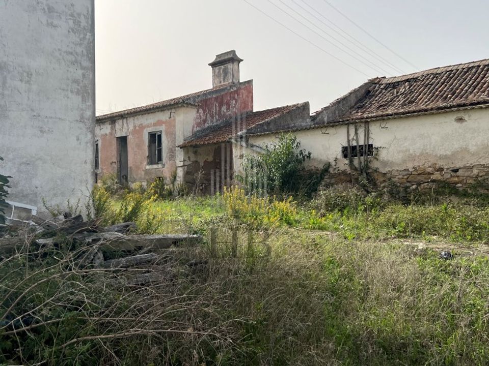 Farm i Matacaes, Lisbon - foto 4