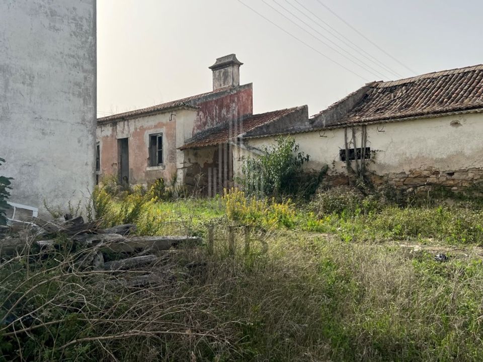 Farm i Matacaes, Lisbon - foto 5