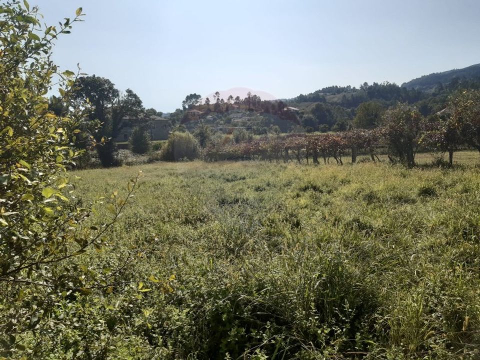 Terra a Aboim das Chocas, Viana do Castelo - foto 1