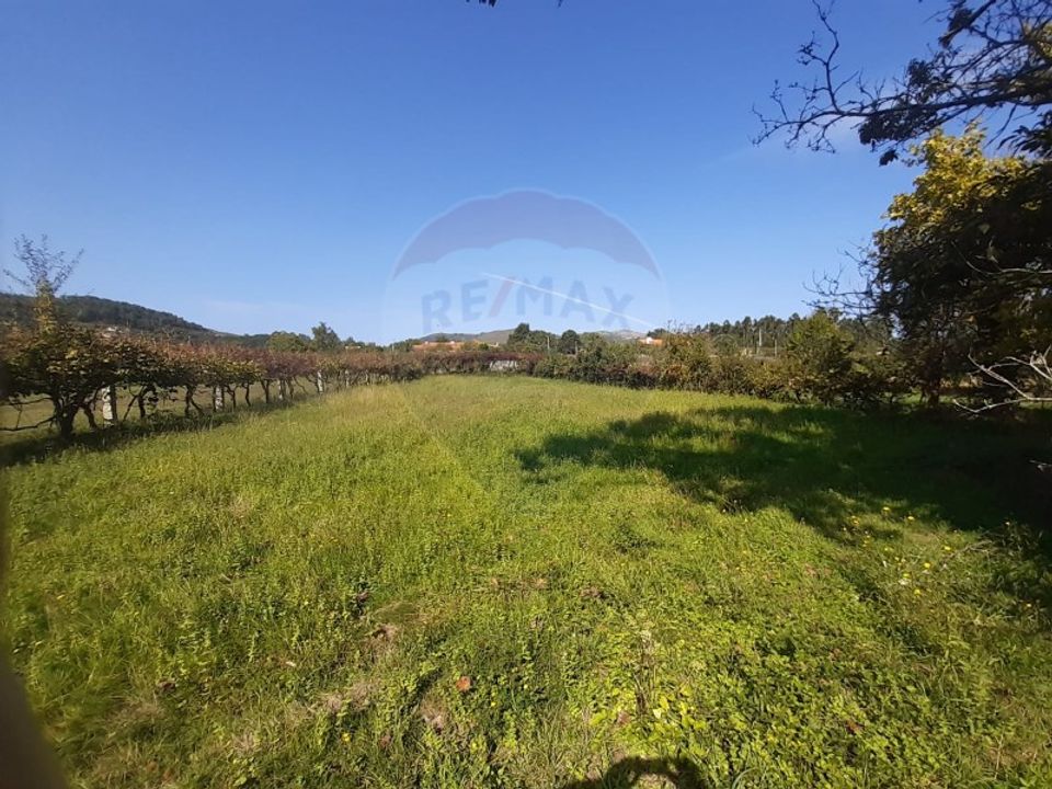 Terra a Aboim das Chocas, Viana do Castelo - foto 3
