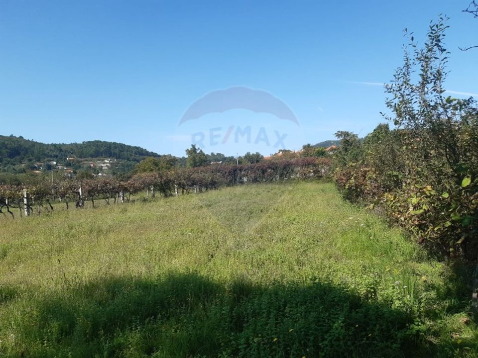 Terra a Aboim das Chocas, Viana do Castelo - foto 4