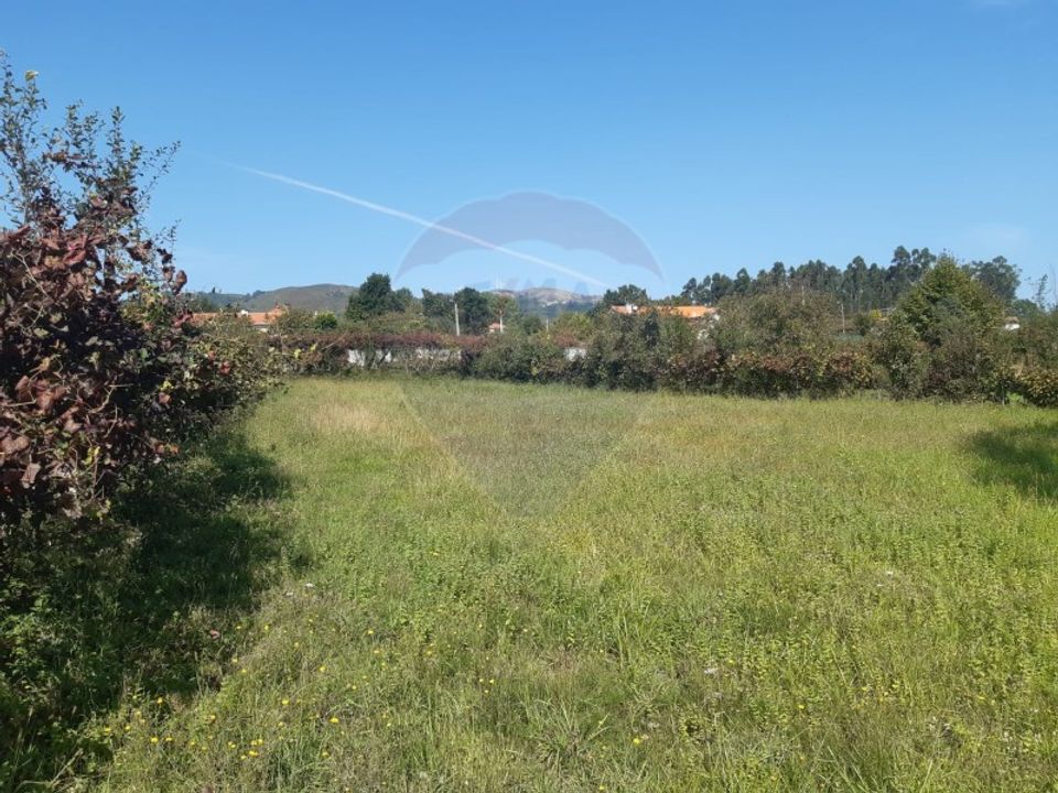 Terra a Aboim das Chocas, Viana do Castelo - foto 5