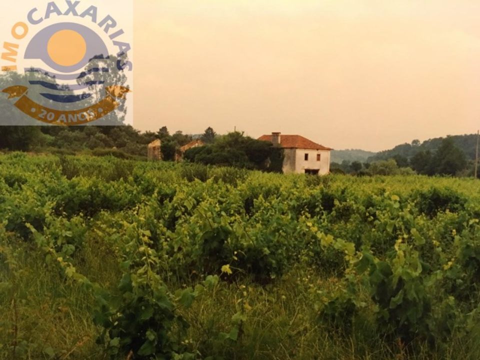 Farm i Gondemaria e Olival, Santarem - foto 1