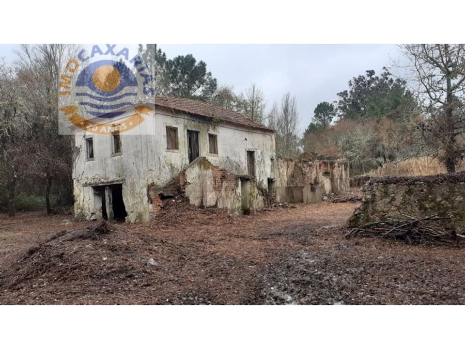 Farm i Gondemaria e Olival, Santarem - foto 3