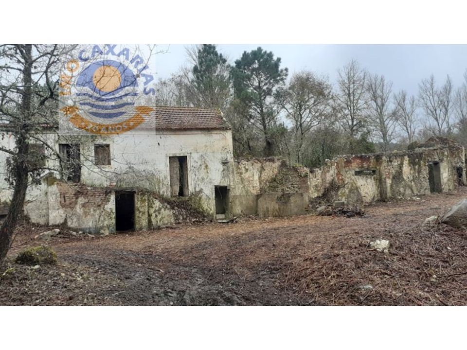 Farm i Gondemaria e Olival, Santarem - foto 4