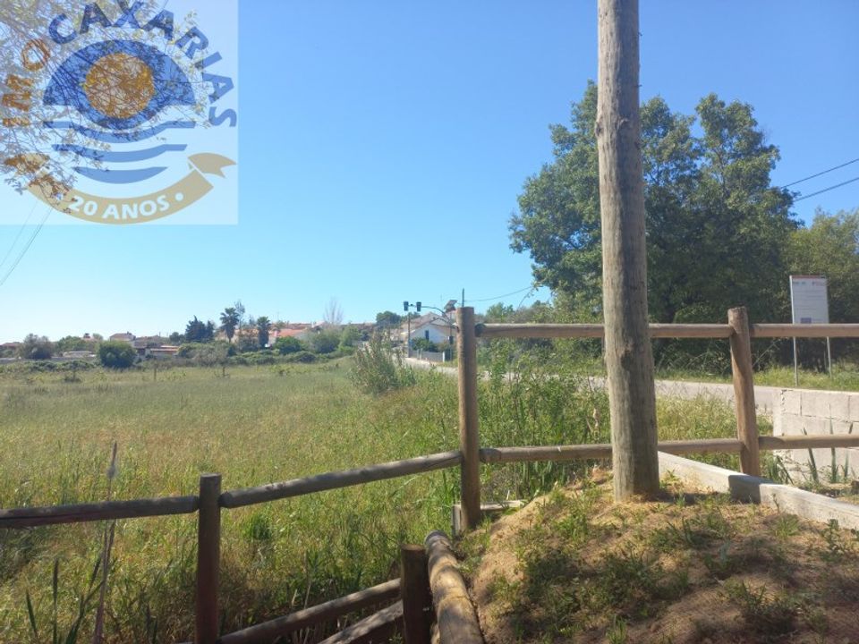 Terra a Rio de Couros e Casal dos Bernardos, Santarem - foto 2
