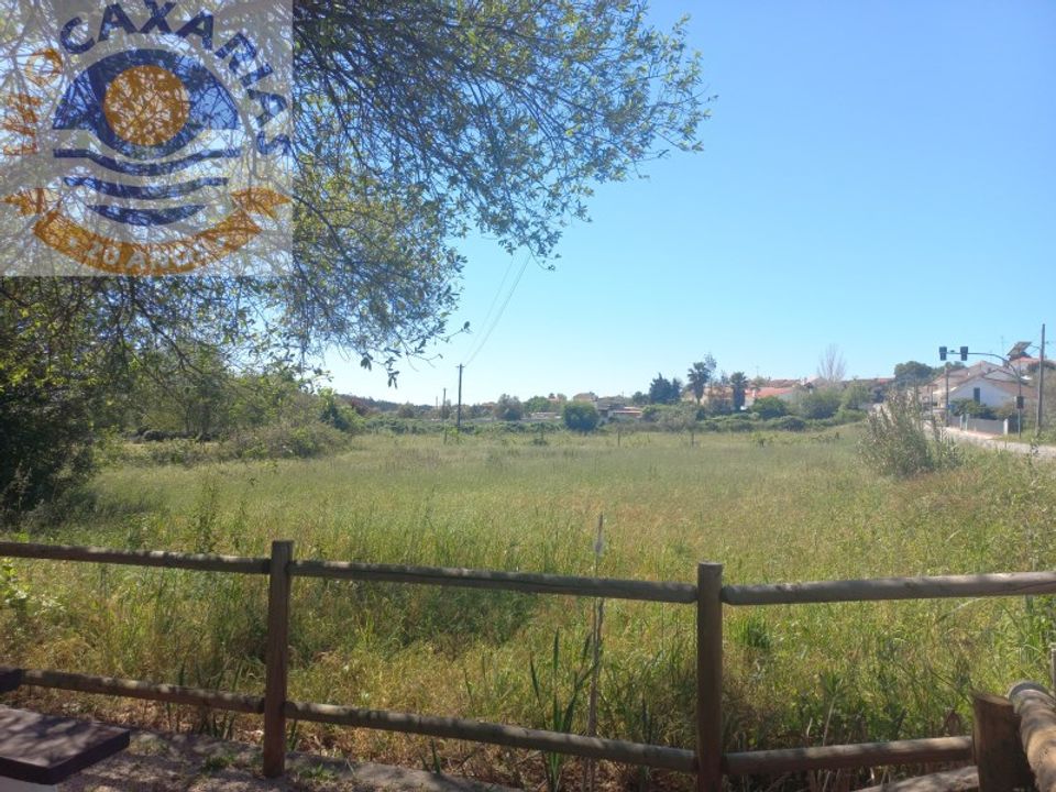 Terra a Rio de Couros e Casal dos Bernardos, Santarem - foto 3