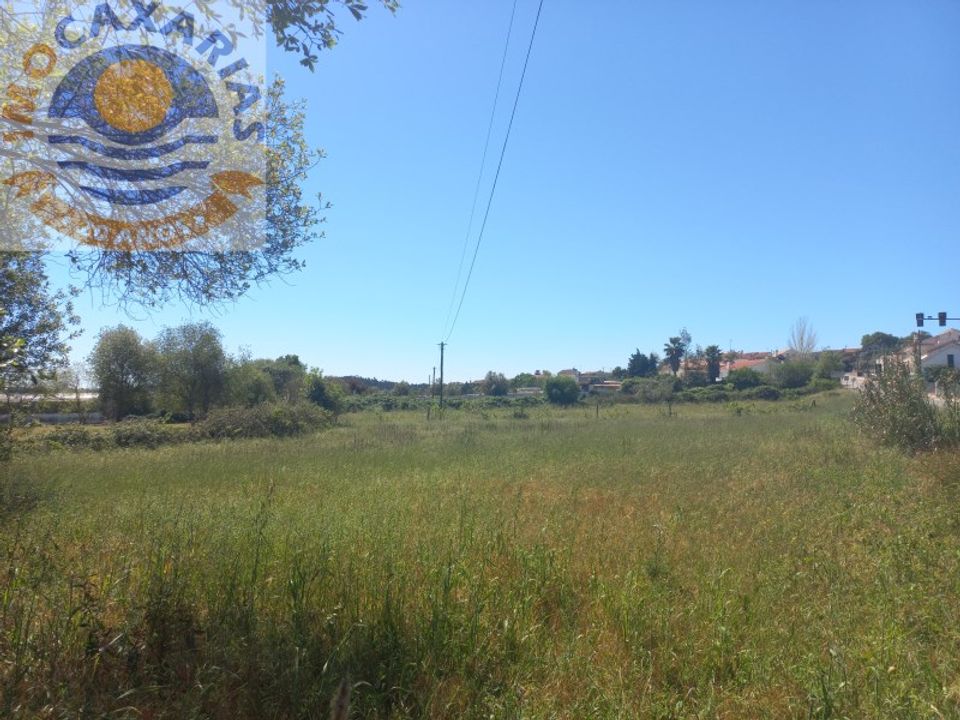 Terra a Rio de Couros e Casal dos Bernardos, Santarem - foto 4