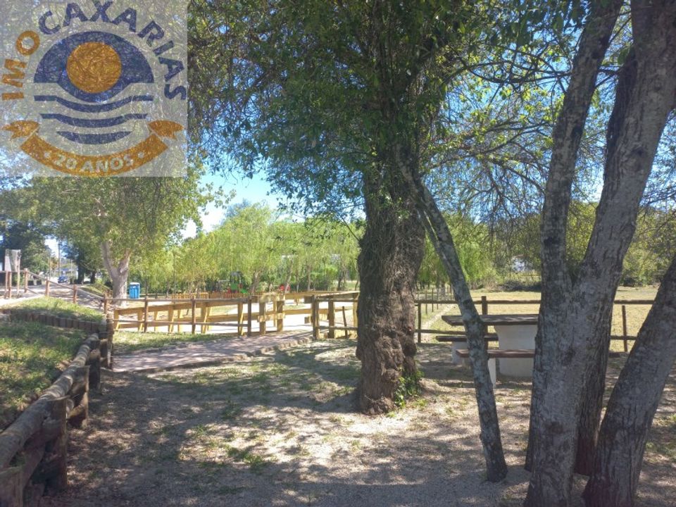 Terra a Rio de Couros e Casal dos Bernardos, Santarem - foto 5