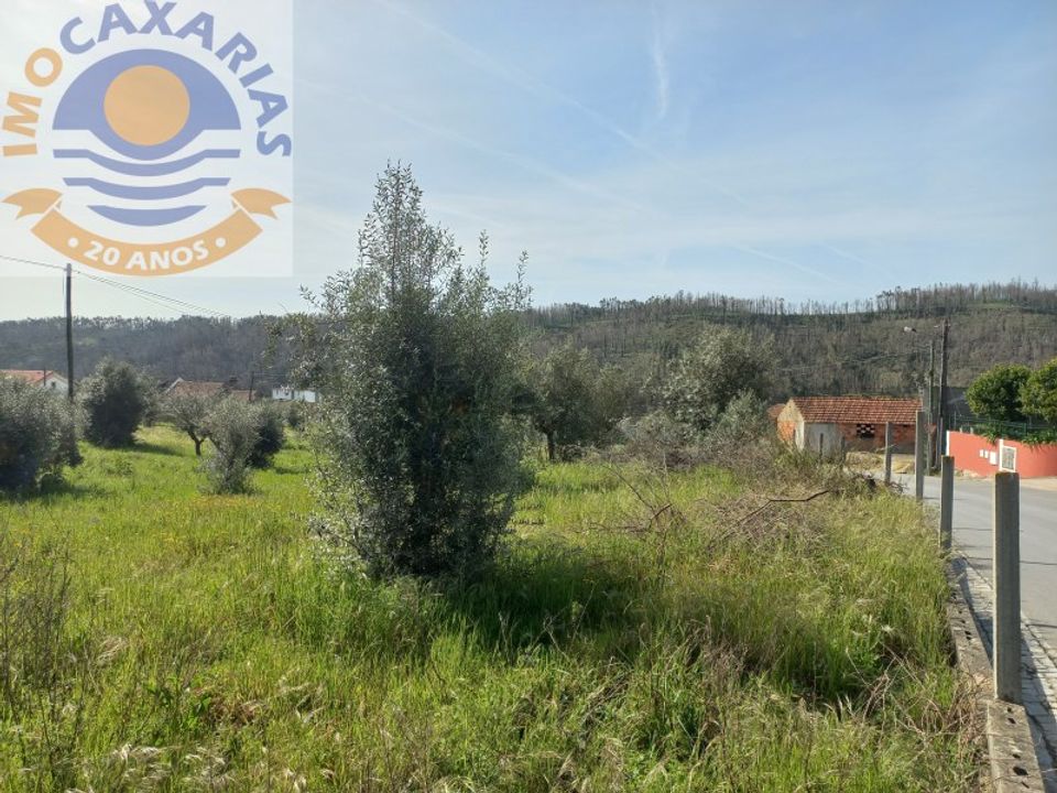 Helårsgrund i Ourem, Santarem - foto 1
