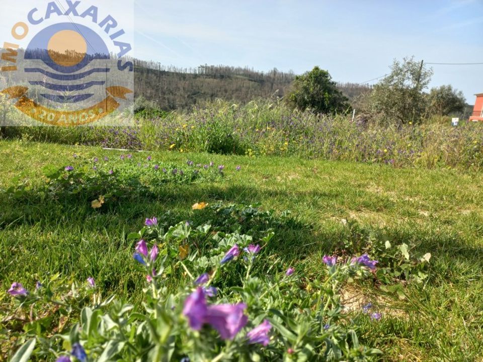Helårsgrund i Ourem, Santarem - foto 2