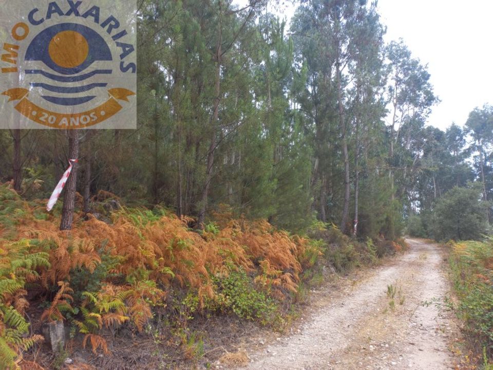 Helårsgrund i Ourem, Santarem - foto 2