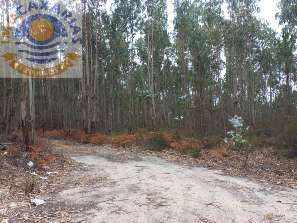 Helårsgrund i Ourem, Santarem - foto 3