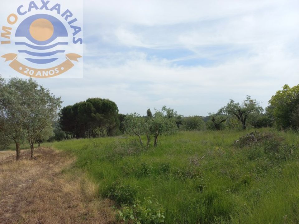Helårsgrund i Gondemaria e Olival, Santarem - foto 4