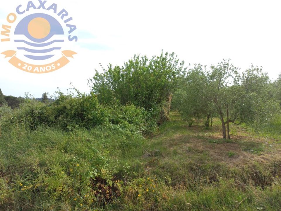 Helårsgrund i Gondemaria e Olival, Santarem - foto 5