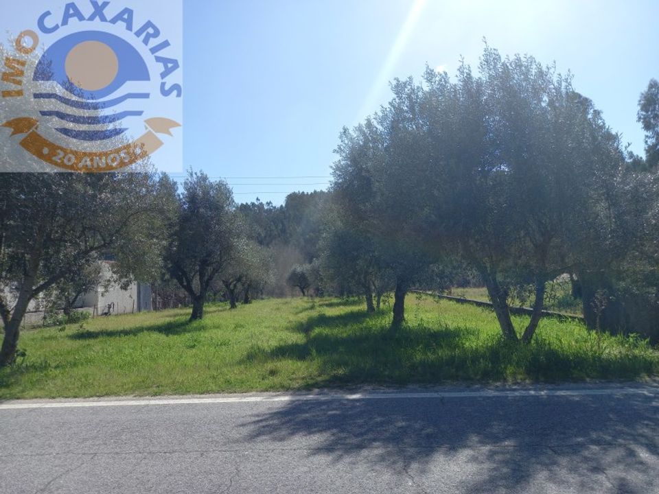 Helårsgrund i Ourem, Santarem - foto 2