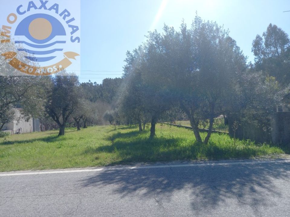 Helårsgrund i Ourem, Santarem - foto 3