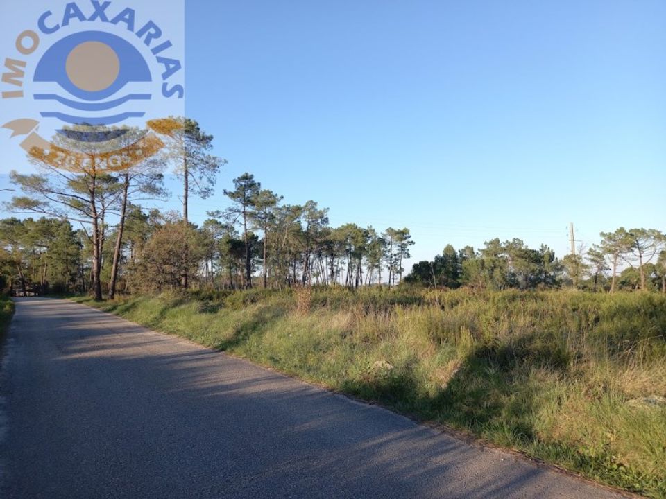 Helårsgrund i Gondemaria e Olival, Santarem - foto 2