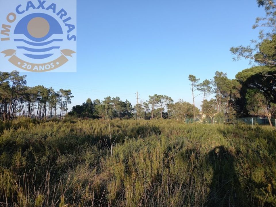 Helårsgrund i Gondemaria e Olival, Santarem - foto 3