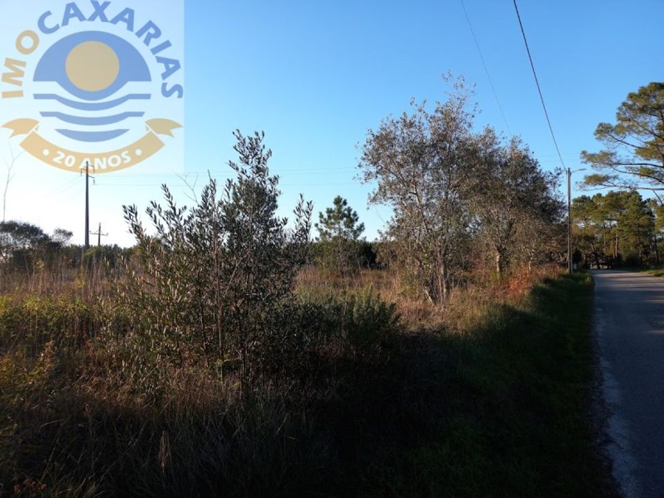 Helårsgrund i Gondemaria e Olival, Santarem - foto 5
