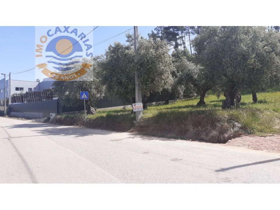 Terra a Freixianda, Santarem - foto 2