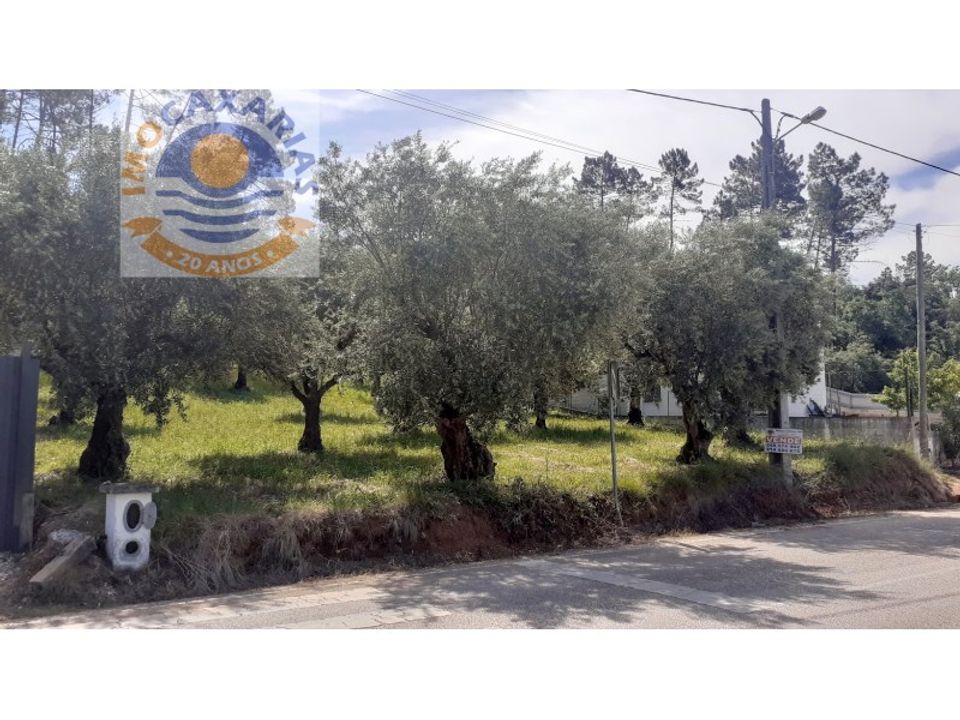 Terra a Freixianda, Santarem - foto 3