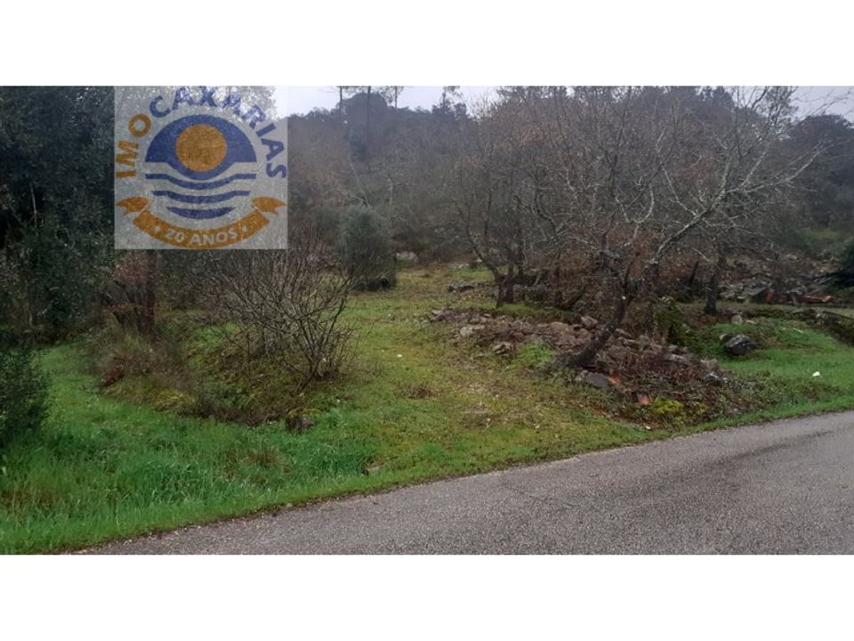 Terra a Freixianda, Santarem - foto 4