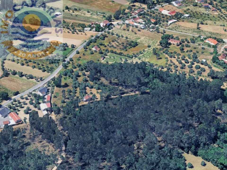 Helårsgrund i Ourem, Santarem - foto 3