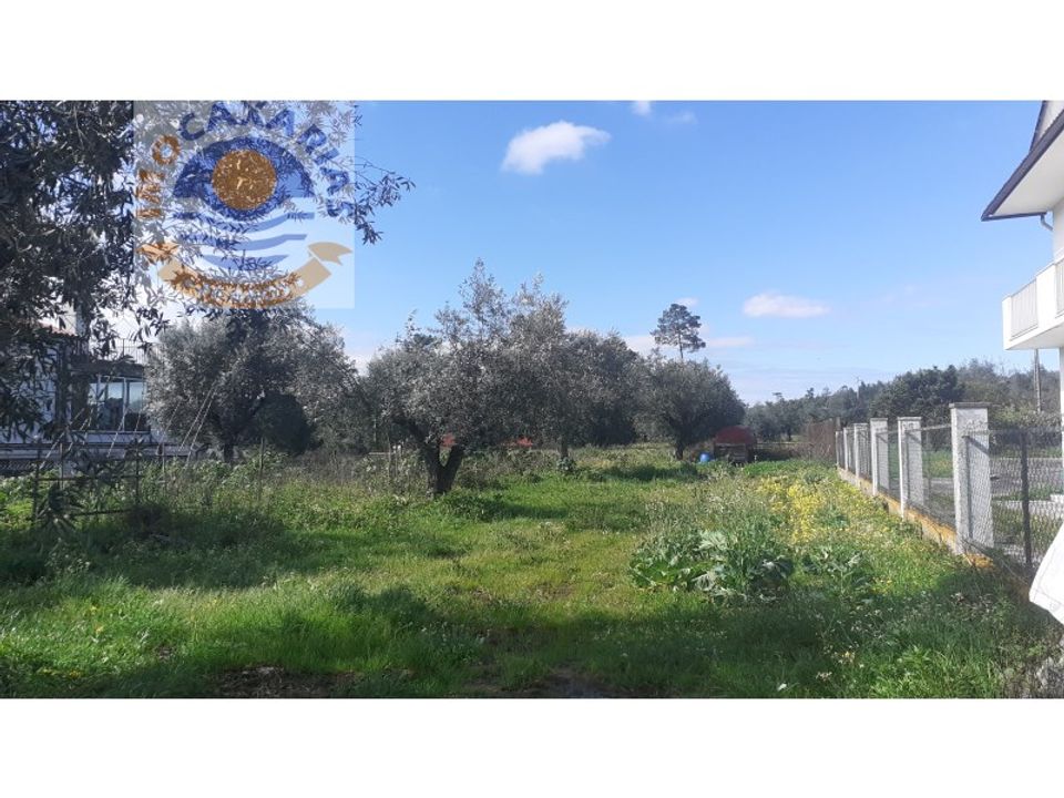 Helårsgrund i Ourem, Santarem - foto 1