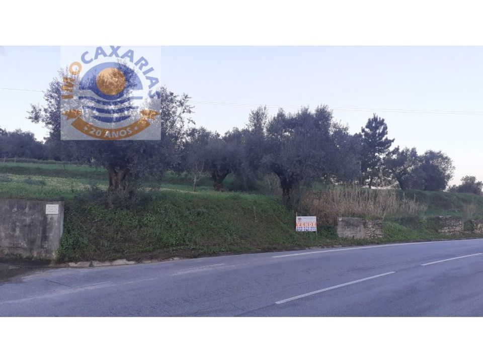Helårsgrund i Ourem, Santarem - foto 1