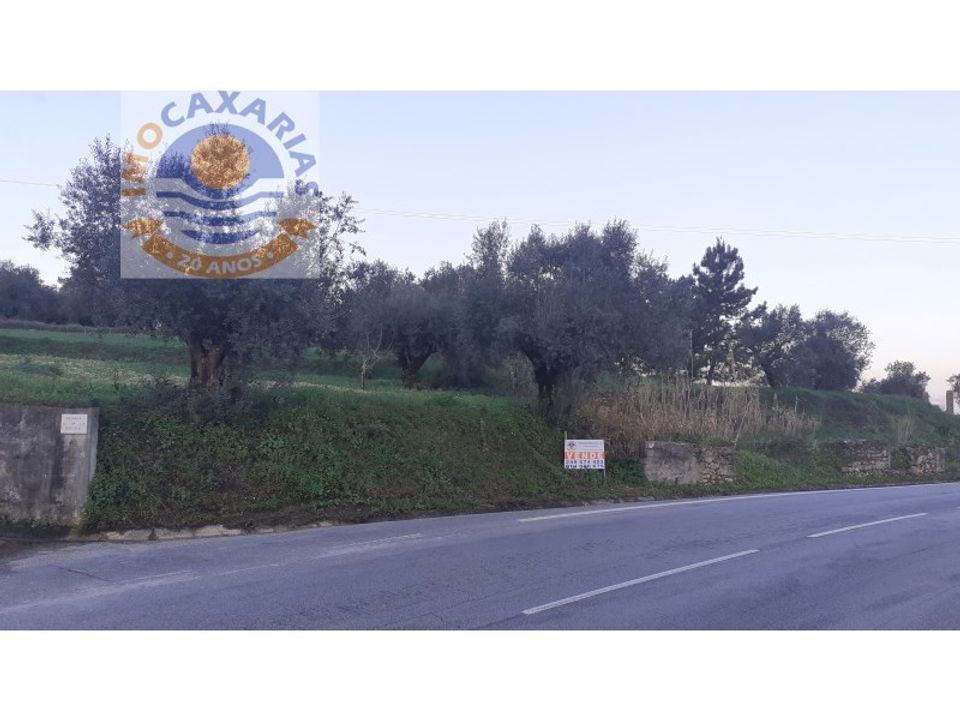 Helårsgrund i Ourem, Santarem - foto 5