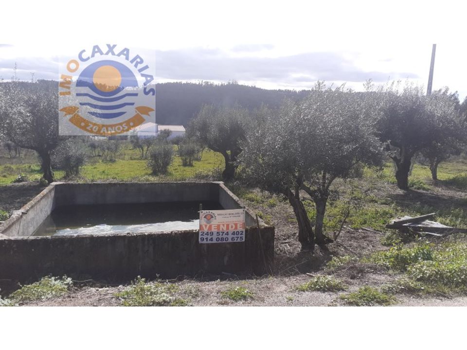 Helårsgrund i Ourem, Santarem - foto 1