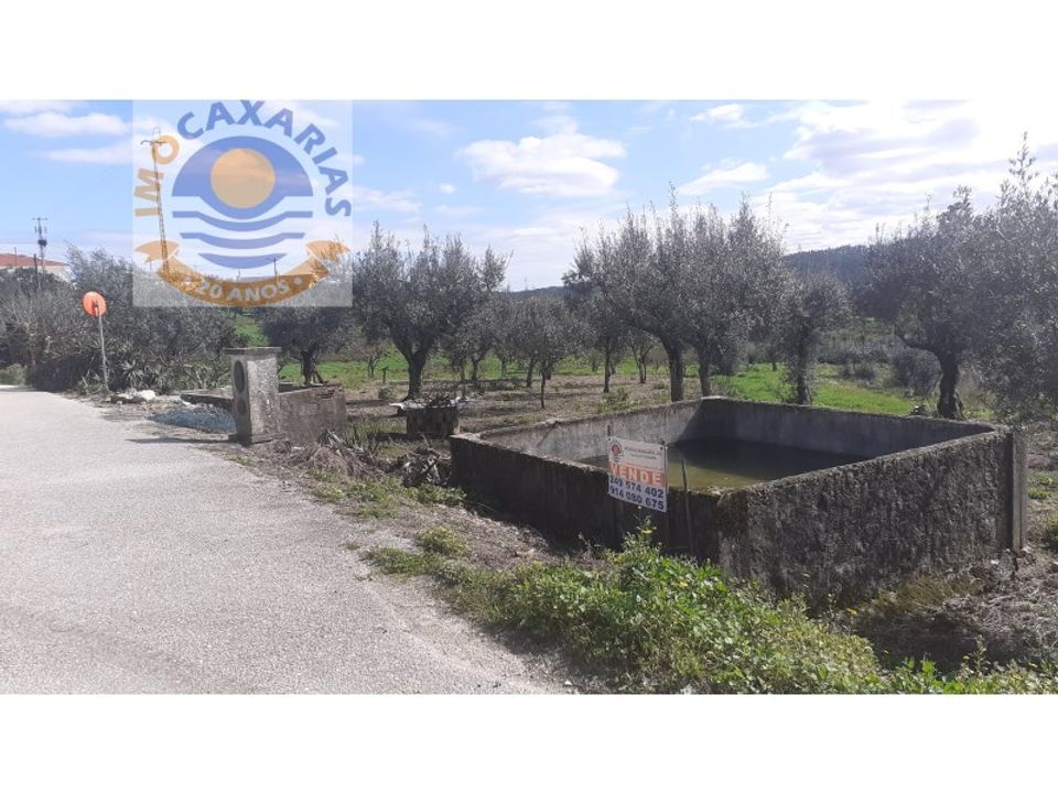Helårsgrund i Ourem, Santarem - foto 2