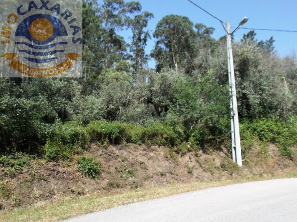 Helårsgrund i Ourem, Santarem - foto 1
