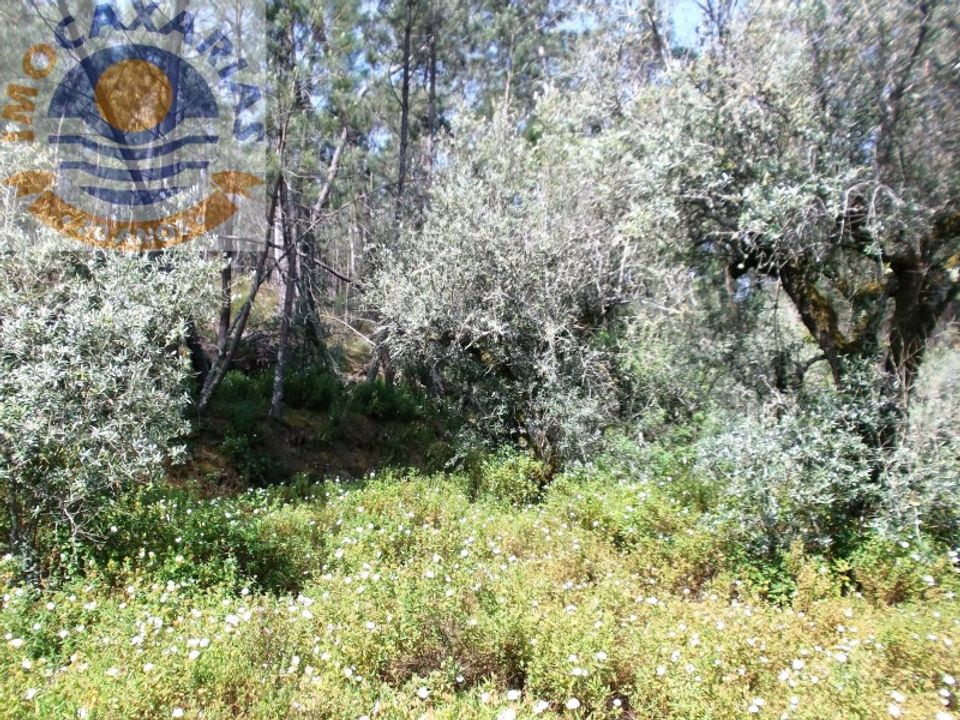 Helårsgrund i Ourem, Santarem - foto 2