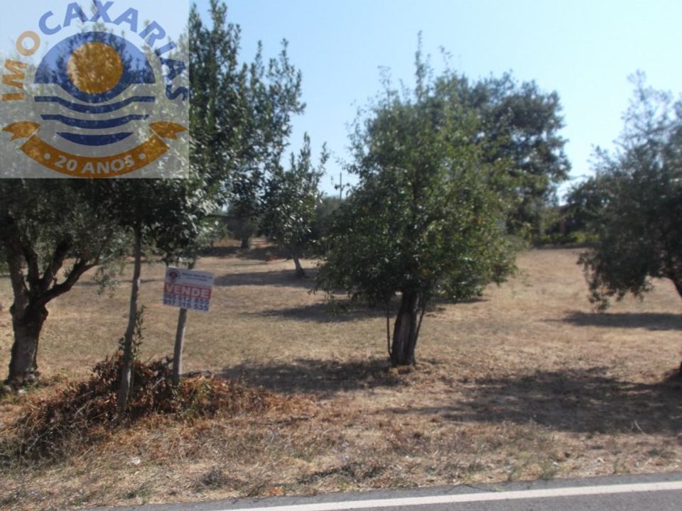 Helårsgrund i Ourem, Santarem - foto 2