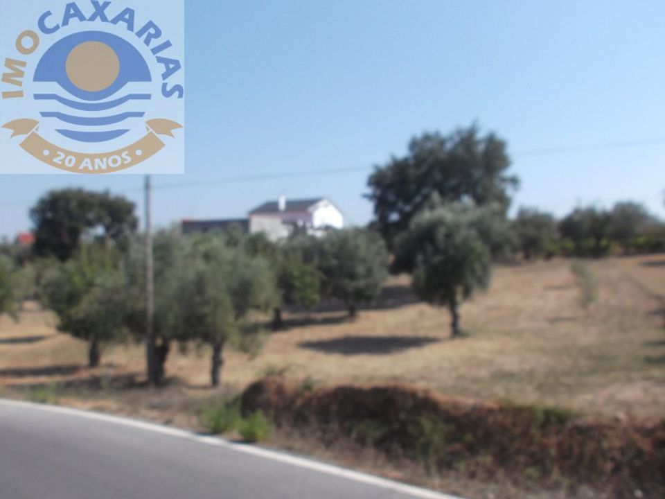Helårsgrund i Ourem, Santarem - foto 3